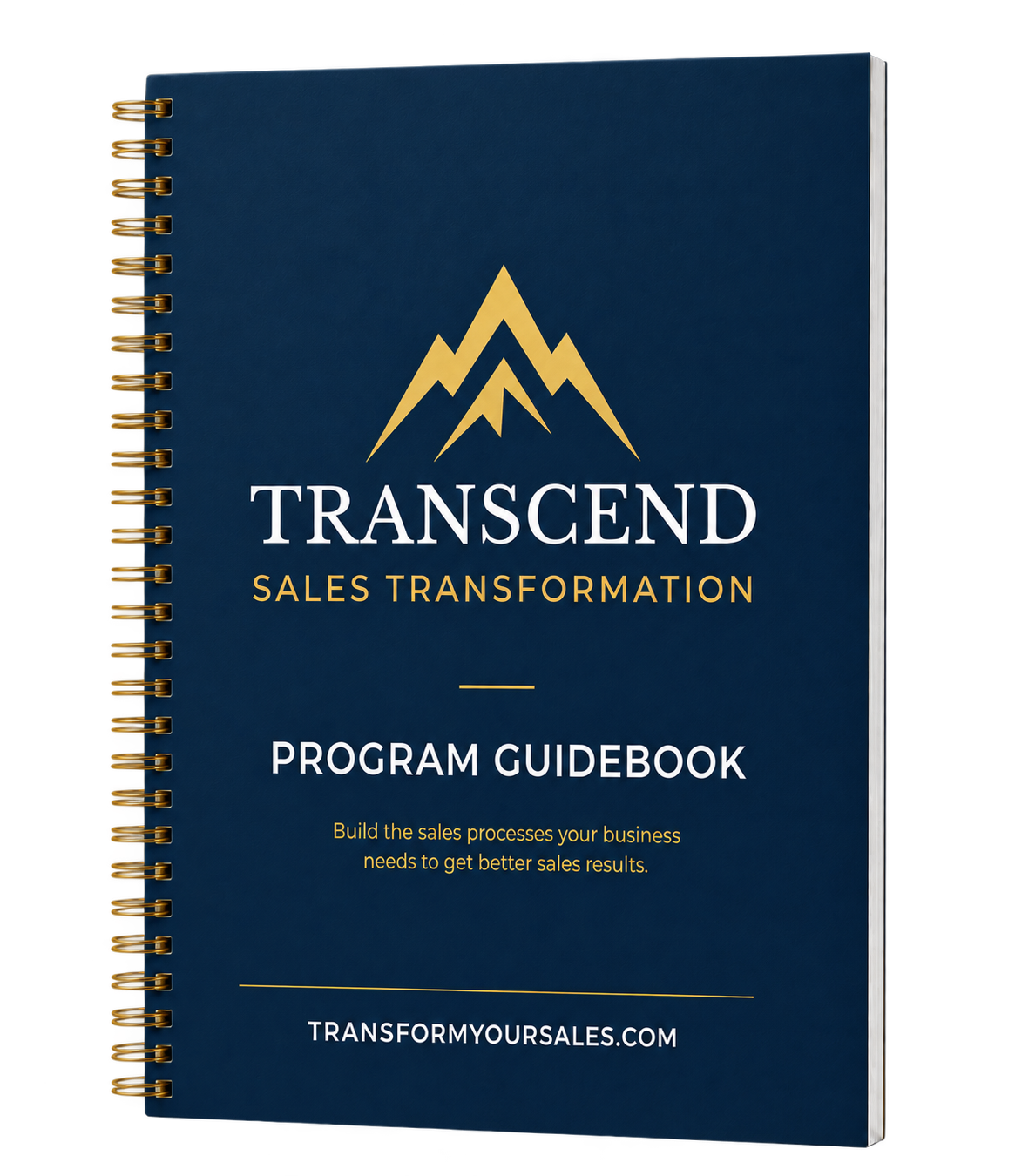 Transcend Sales Transformation Program Guidebook
